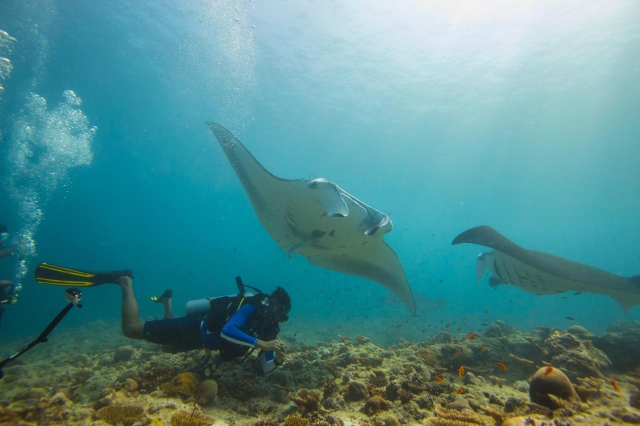 Scuba Inn Omadhoo Екстер'єр фото