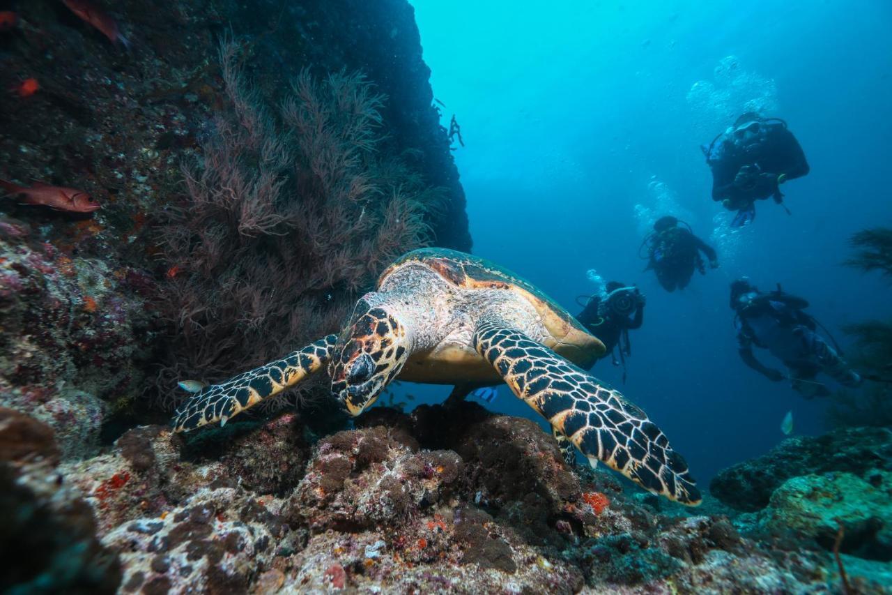 Scuba Inn Omadhoo Екстер'єр фото